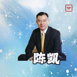 陈凯